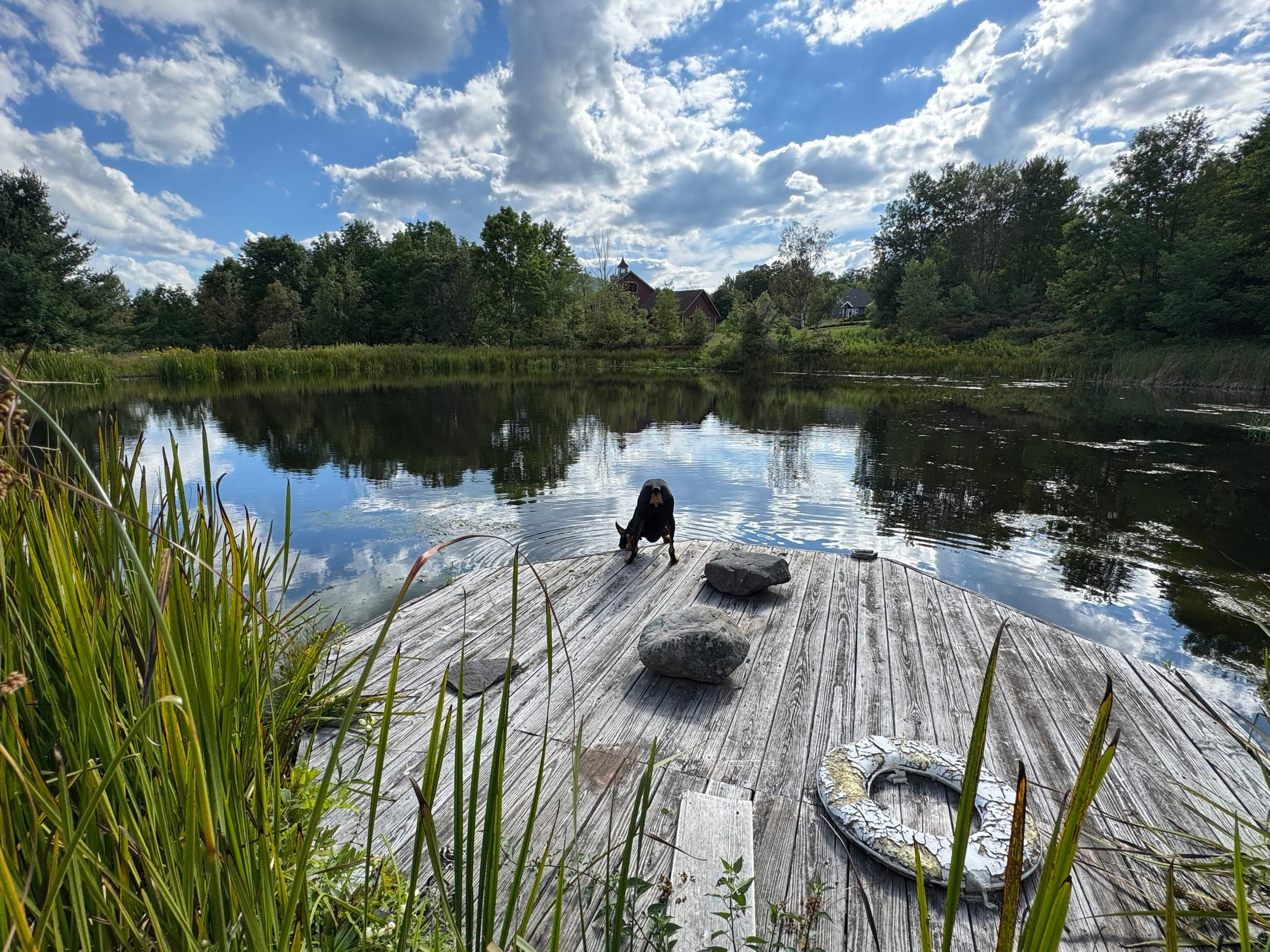 The private pond